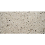Gạch Terrazzo IN306115