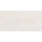 Gạch Terrazzo IPA61208