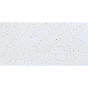 Gạch Terrazzo IPA61209