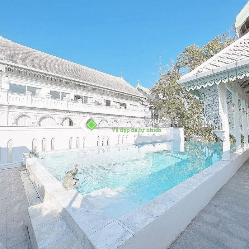 Đá trắng nhiệt đới lát hồ bơi