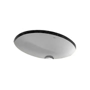 Chậu rửa âm bàn LW1505VXW_TL516GV