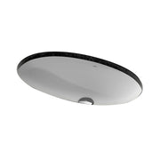 Chậu rửa âm bàn LW1506VXW_TL516GV
