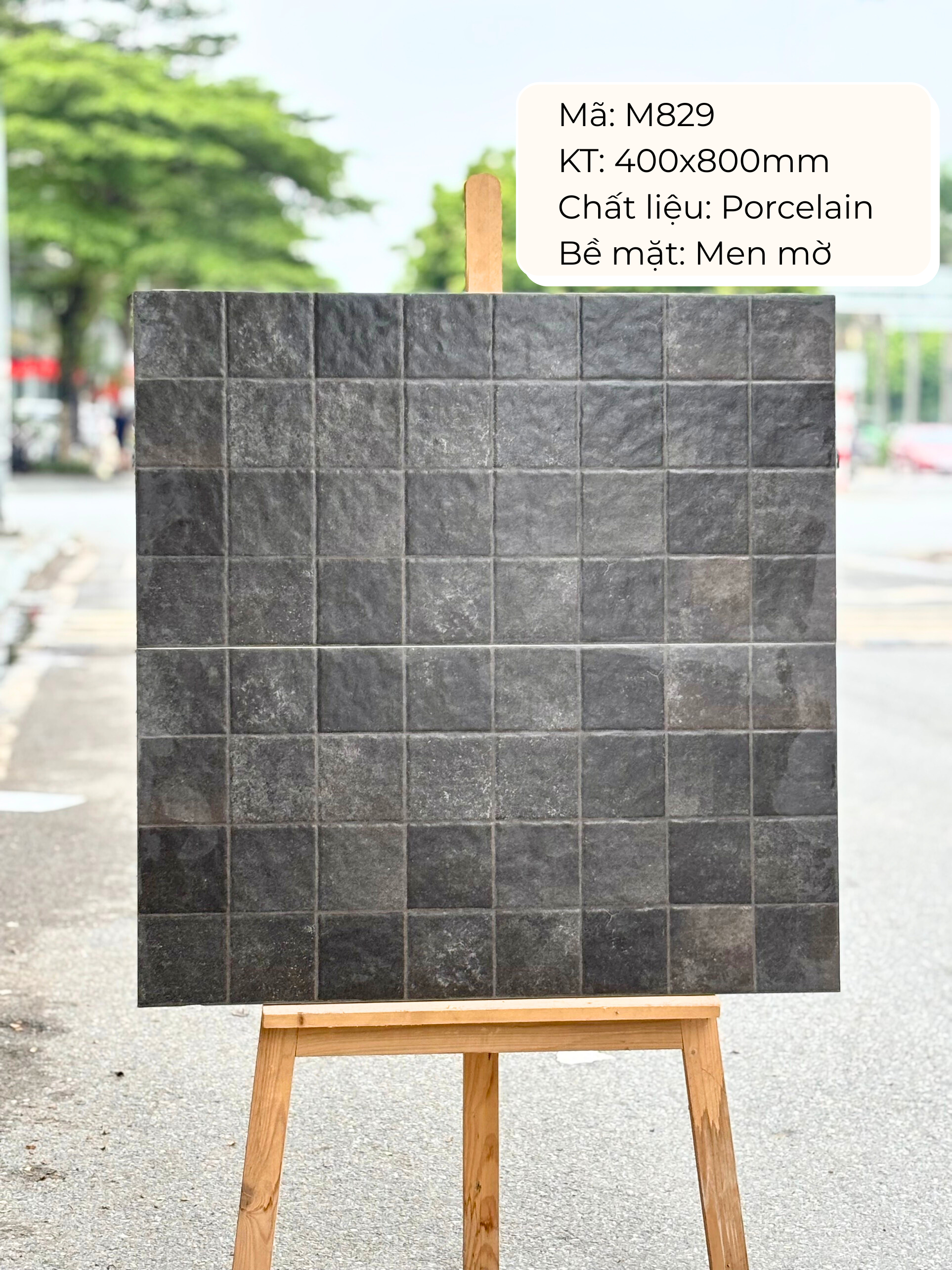 Gạch ốp lát 400x800 mã M829 (1thùng/ 1.92m2/ 6v/ 36,5kg)