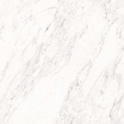 Gạch Ấn Độ 120×120 CARRARA WHITE