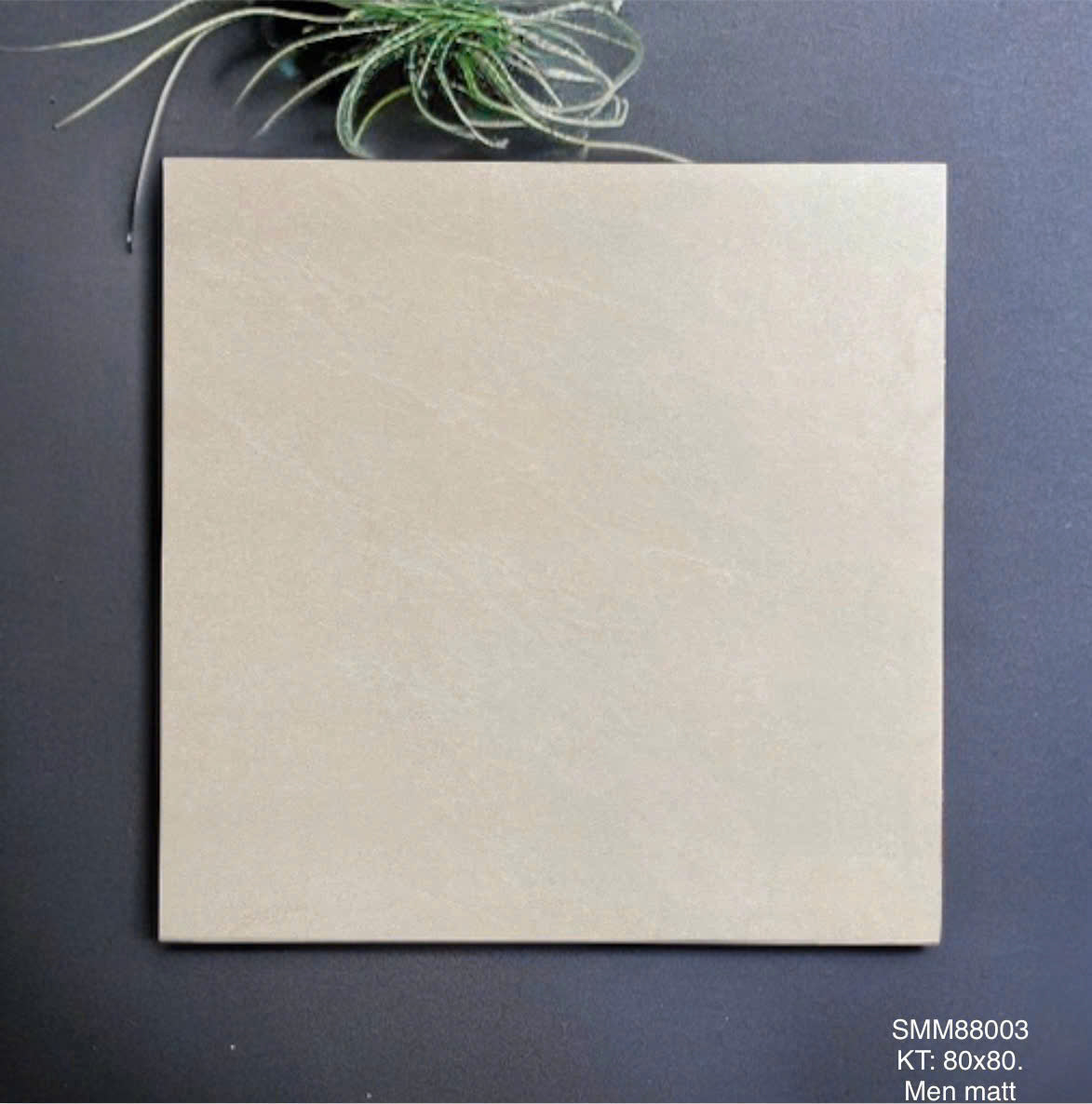 Gạch Men Mờ KT 800x800 SMM88003