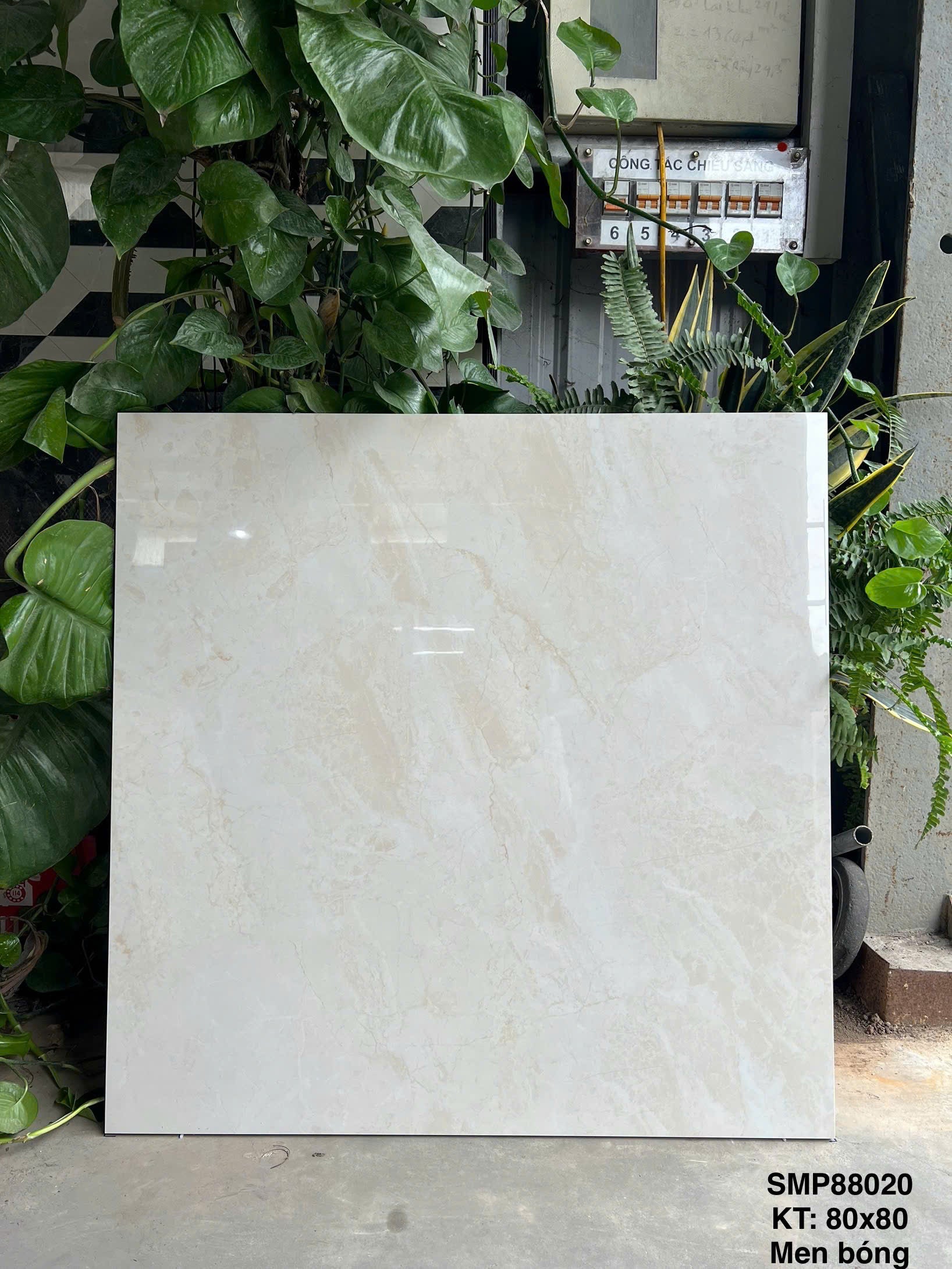 Gạch Ốp Lát KT 800x800 Men Bóng Mã SMP88020