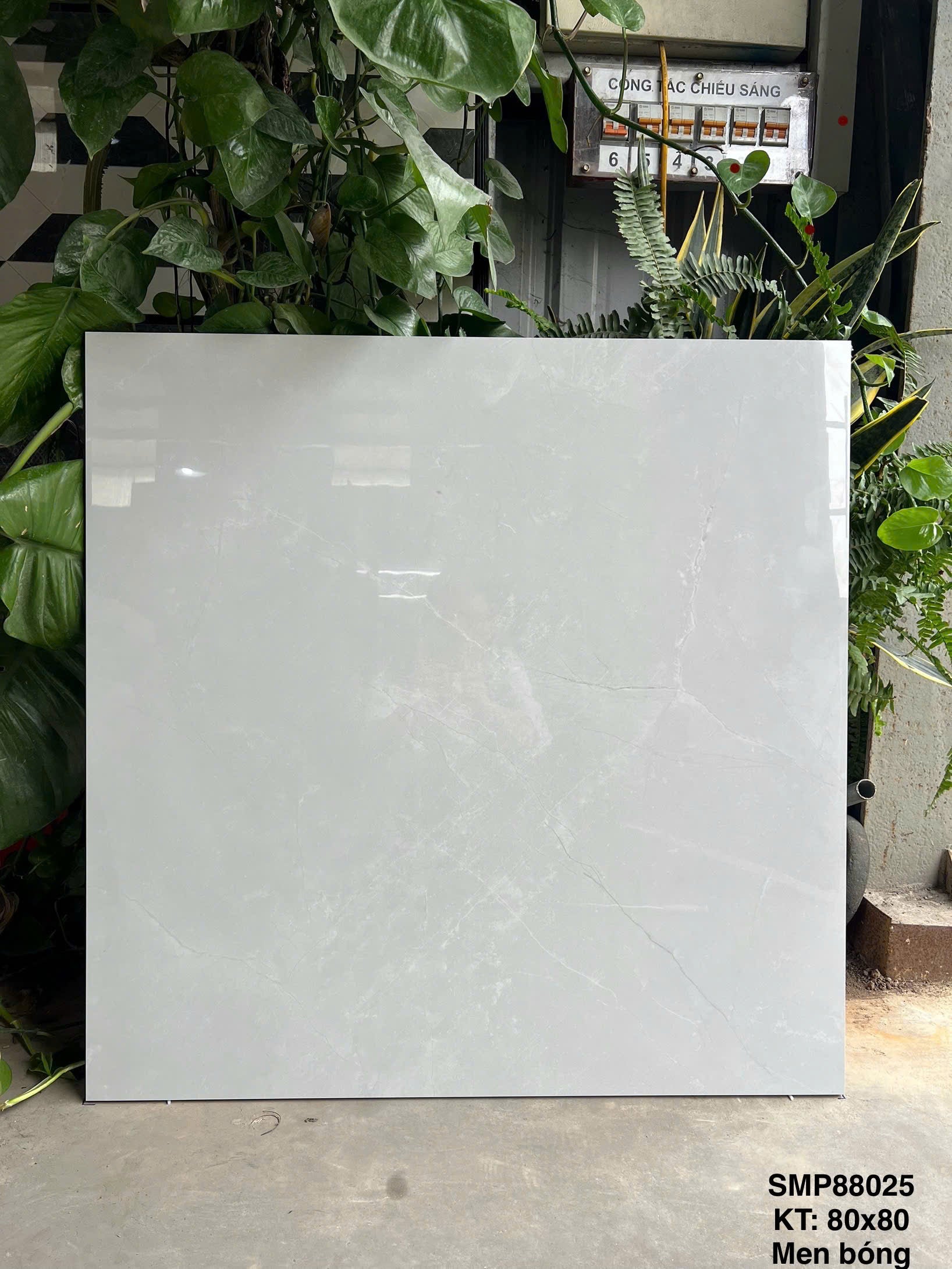 Gạch Ốp Lát KT 800x800 Men Bóng Mã SMP88025