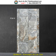Gạch Ốp Trang Trí 30x60 Ấn Độ P3615