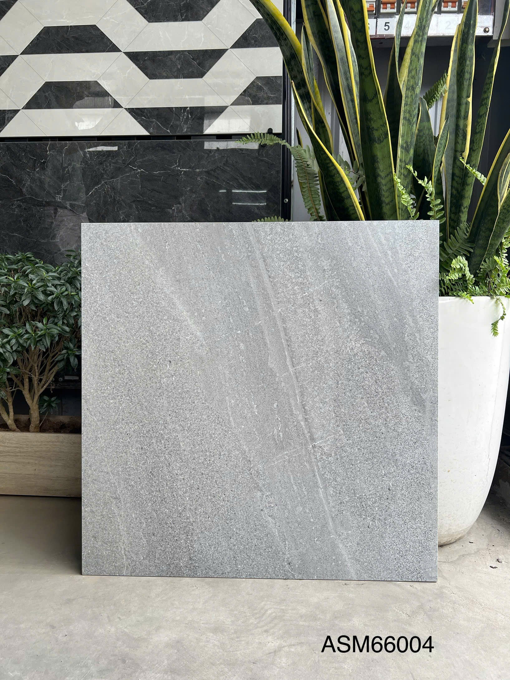 Gạch Lát Nền Grand Ceramic 60×60 ASM 66004 Sang Trọng