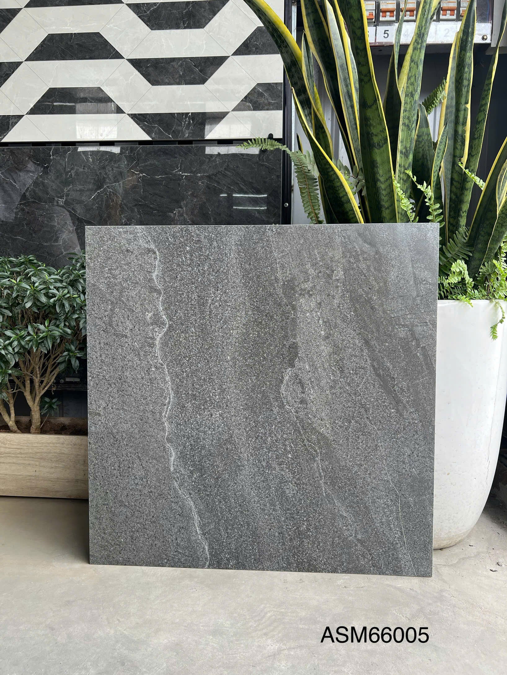 Gạch Lát Nền Grand Ceramic 60×60 ASM 66005 Sang Trọng