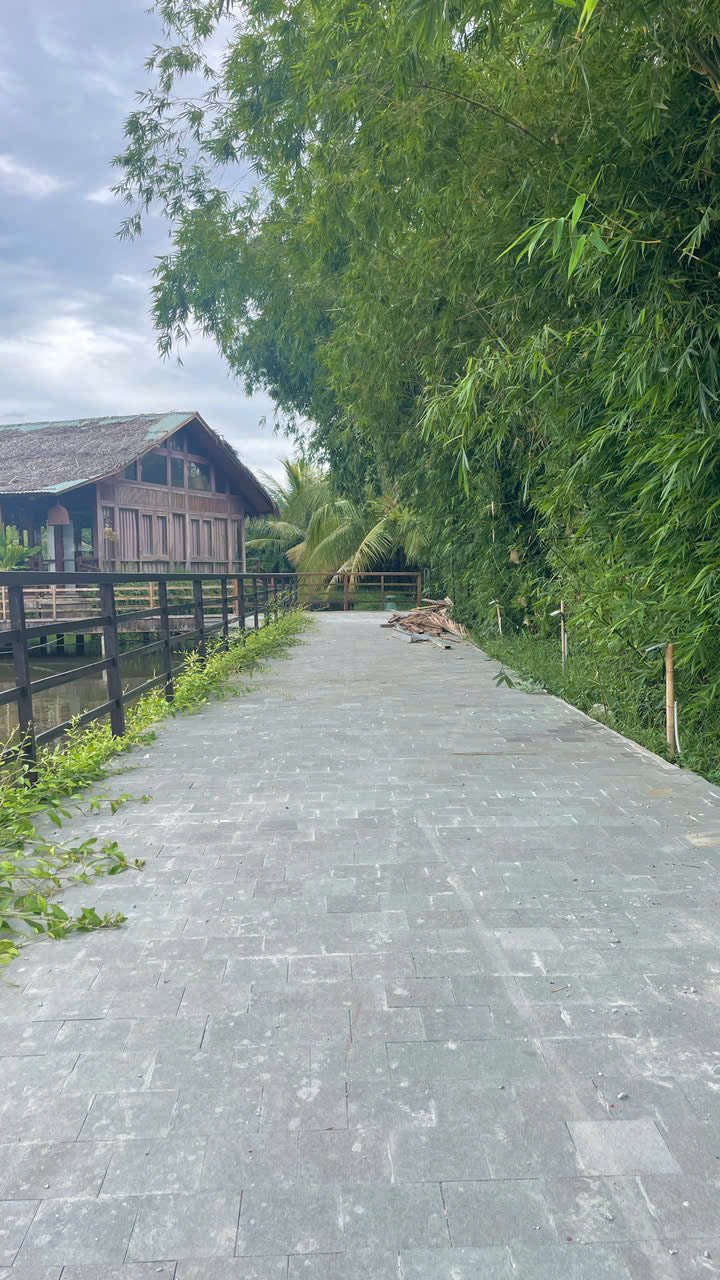 Bazan Xanh Khò - Giải Pháp Chống Trơn Ngoài Trời - Daisan Store