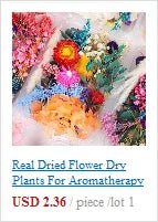 Bộ Tiết Kiệm Nước Vòi 16.5 - 24mm Chống Bọt Tiện Ích - Daisan Store