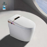 Bồn cầu thông minh American Electric Inodoro Ceramic Sanitary Wc xả nước tự động bằng xi phông - Daisan Store