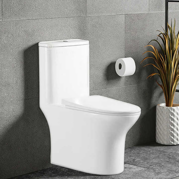 Bồn cầu xả rửa hiện đại Bồn cầu bằng sứ Bồn cầu một khối dài bằng sứ cho phòng tắm khách sạn - Daisan Store