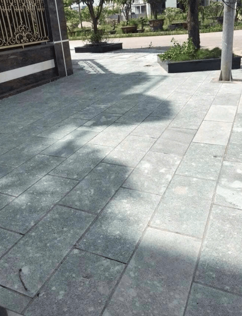 Đá băm xanh 30x60x1,8 - Daisan Store