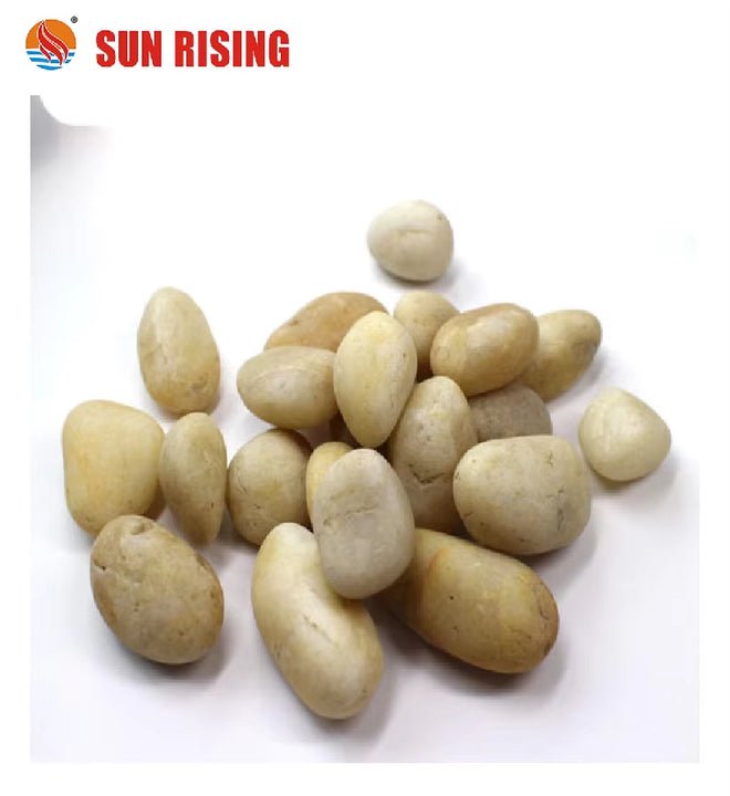 Đá cuội hình bầu dục màu trắng tự nhiên Đá cuội sông được đánh bóng tốt để sử dụng ngoài trời cho khu vườn Ứng dụng ngoại thất - Daisan Store