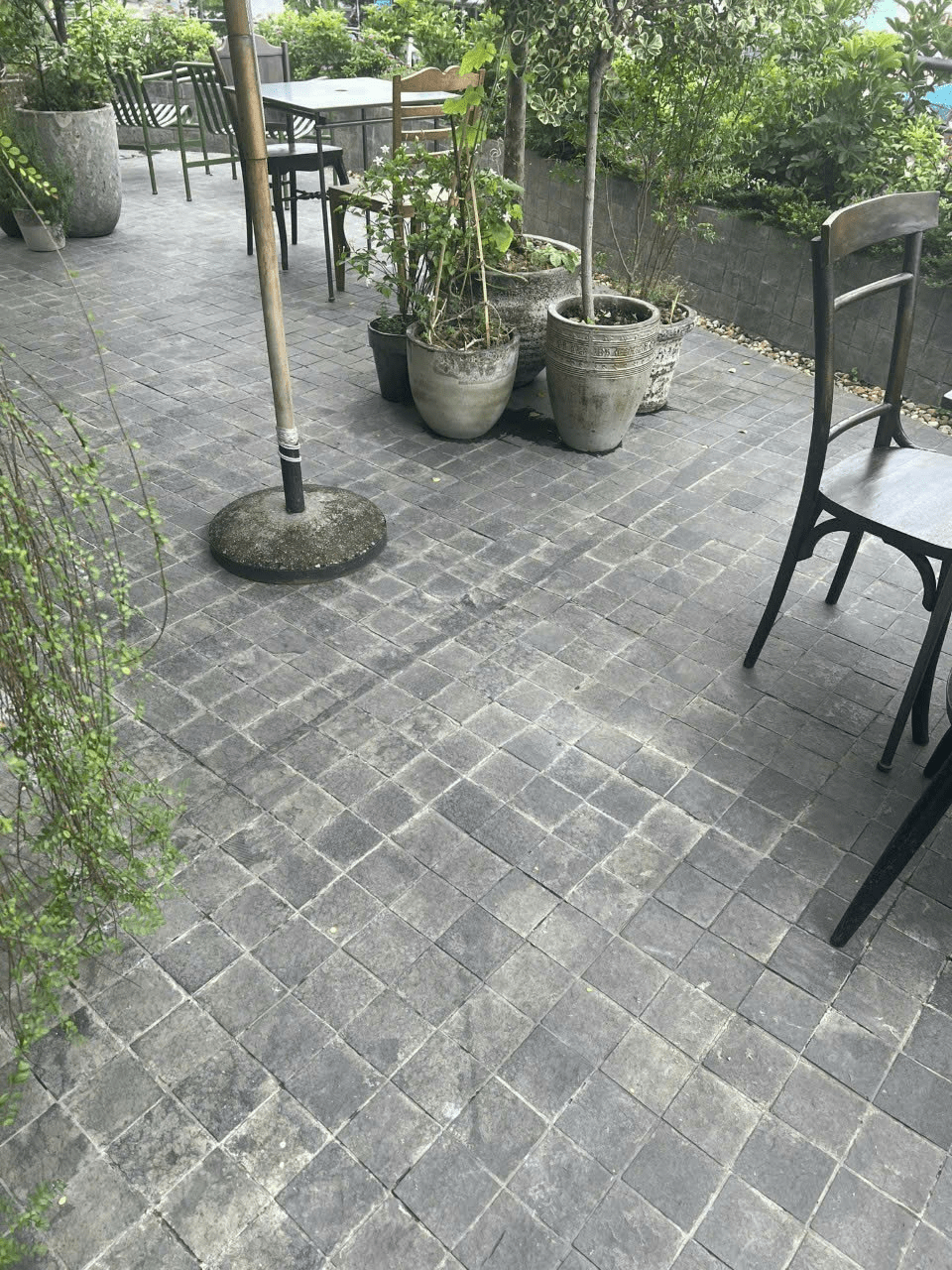 Đá mài xanh 15x15x1,8 - Daisan Store