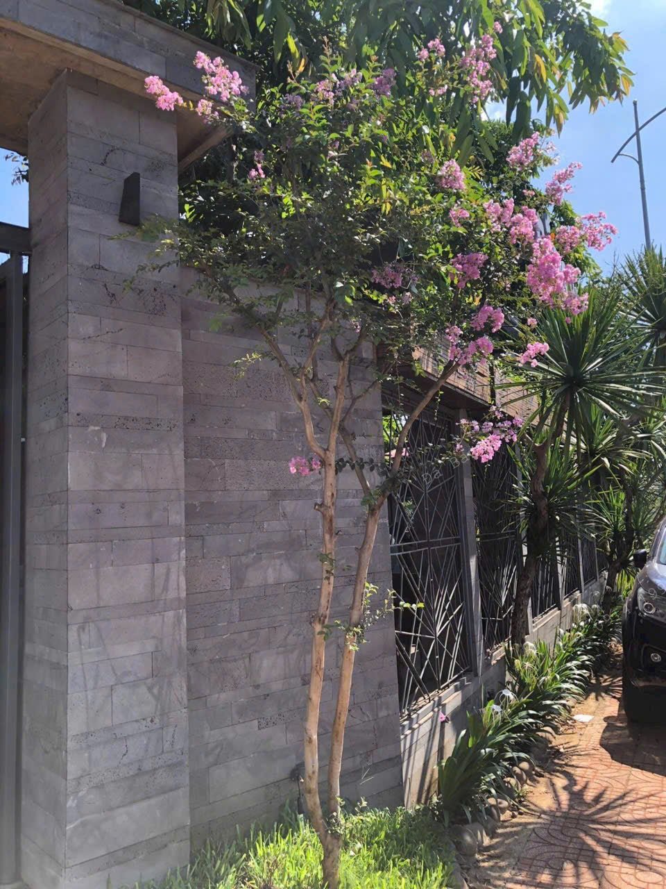 Đá ong xám ốp trang trí - Daisan Store