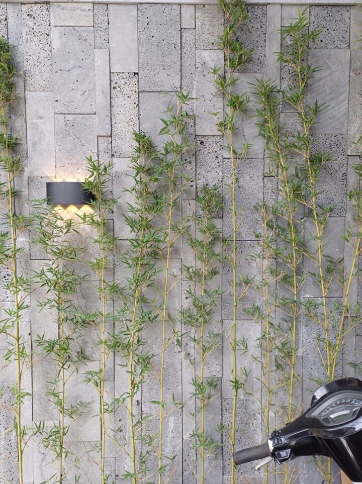 Đá ốp tường tự nhiên – Nét đẹp sang trọng, đẳng cấp cho không gian sống - Daisan Store