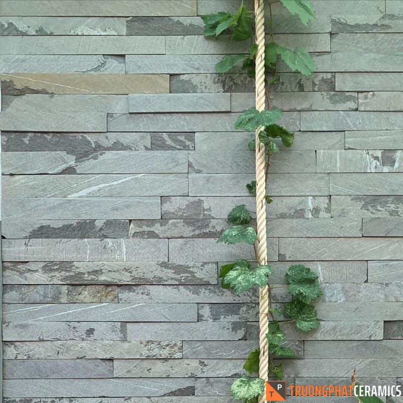 Đá ốp tường xanh sao mộc - Daisan Store