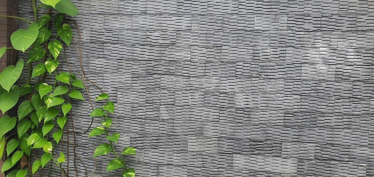 Đá răng lược đen - Daisan Store