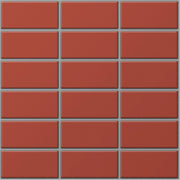 DPL POINT COLOR - Daisan Store