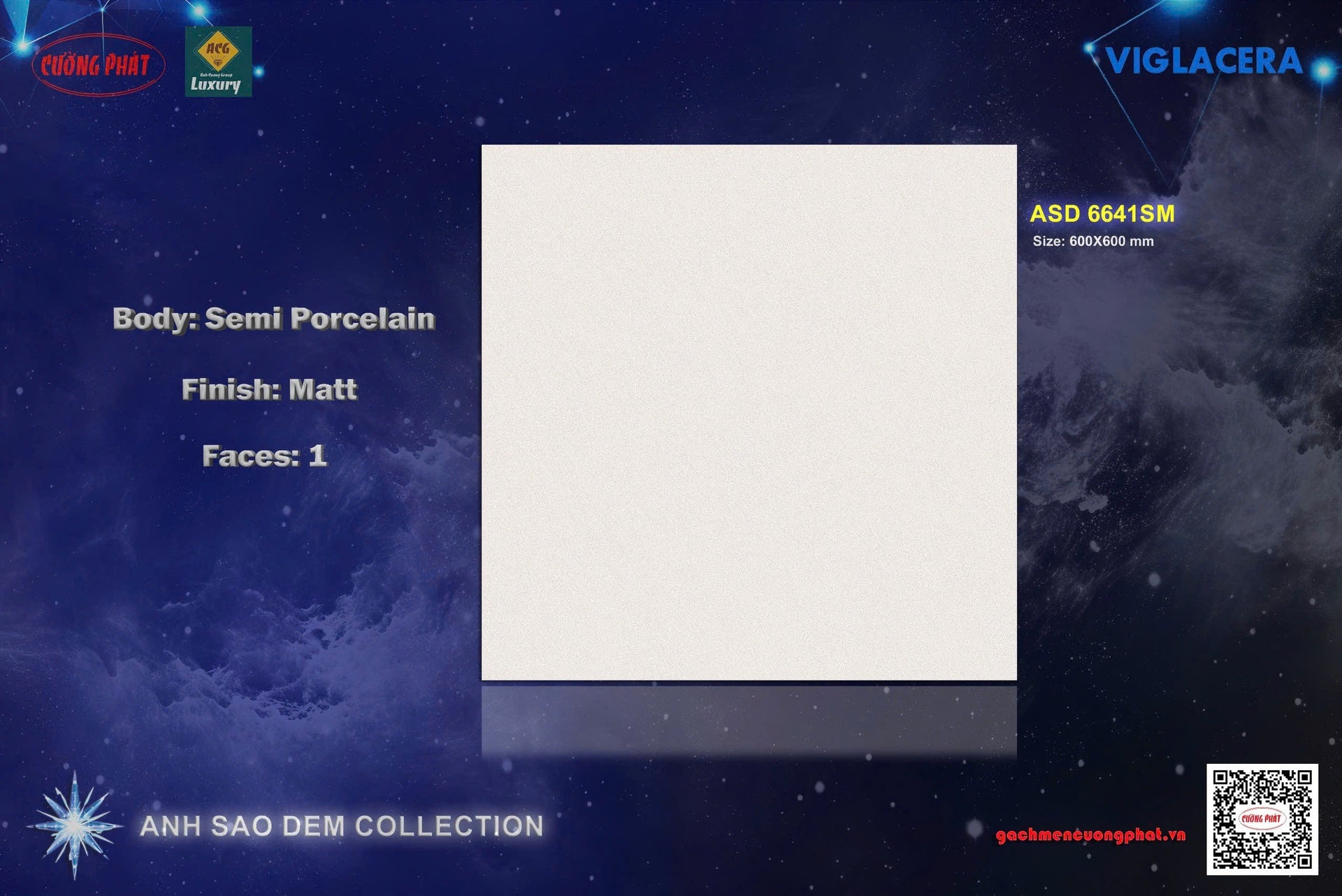 ASD6641 SM 60X60CM Mờ viglacera
