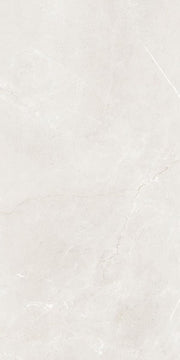 Gạch lát nền taicera 60×120 g12845