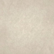 Gạch lát nền taicera 30×30 g38910nd