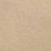 Gạch lát nền taicera 30×30 g38913nd