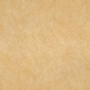 Gạch lát nền taicera 30×30 g38916nd