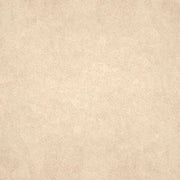Gạch lát nền taicera 30×30 g38932nd