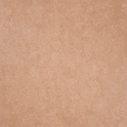 Gạch lát nền taicera 30×30 g38933nd