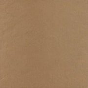 Gạch lát nền taicera 30×30 g38b14