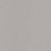 Gạch lát nền taicera 40×40 g49001