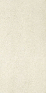 Gạch lát nền taicera 30×60 g63913