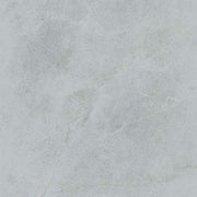 Gạch lát nền taicera 60×60 g68848