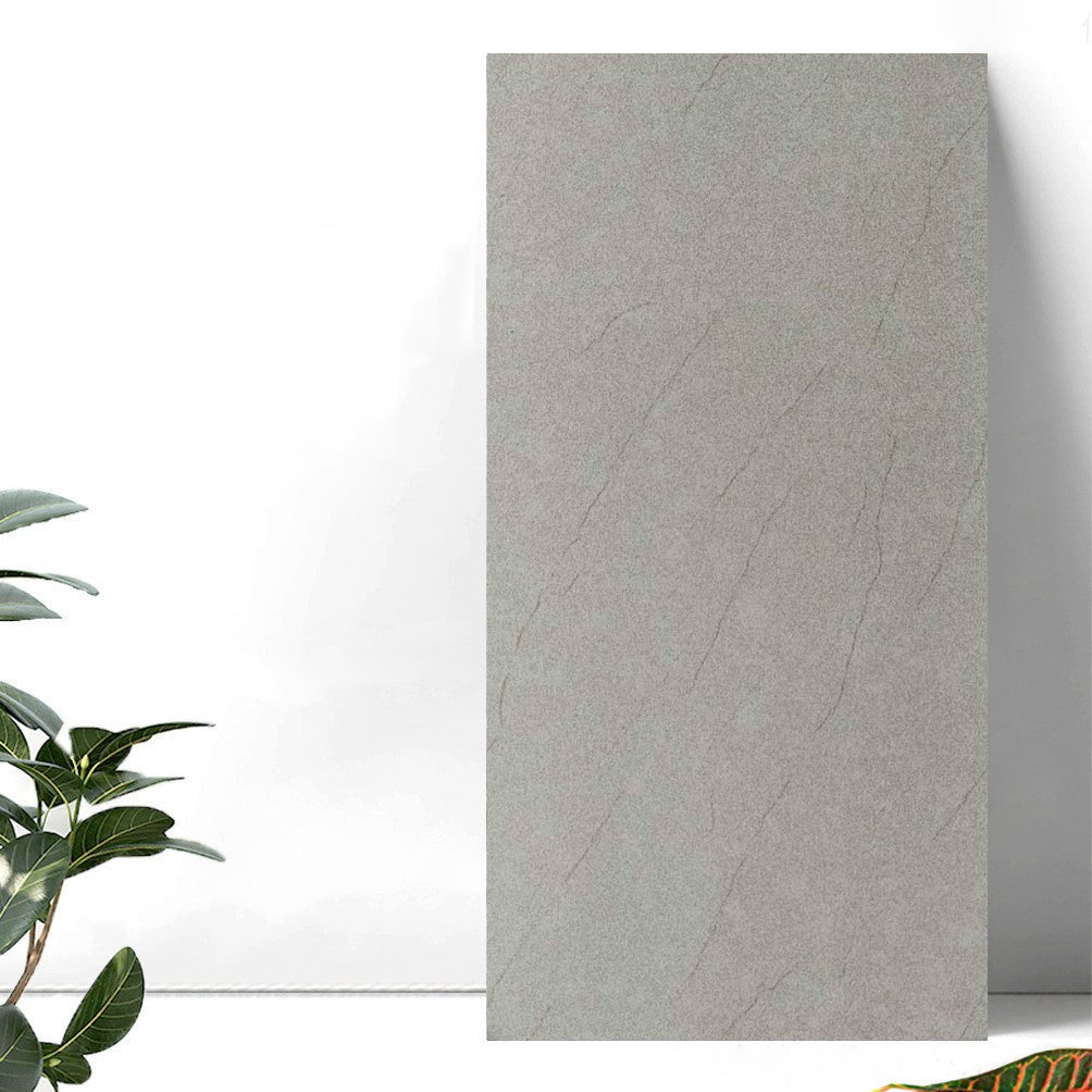 Gạch 300x600mm Matt xương đá 3601 - Daisan Store