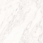 Gạch Ấn Độ 120×120 CARRARA WHITE - Daisan Store