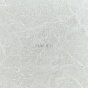 Gạch Ấn Độ CSI88177 - Daisan Store