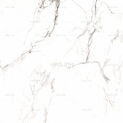 Gạch Ấn Độ CSI88185 - Daisan Store