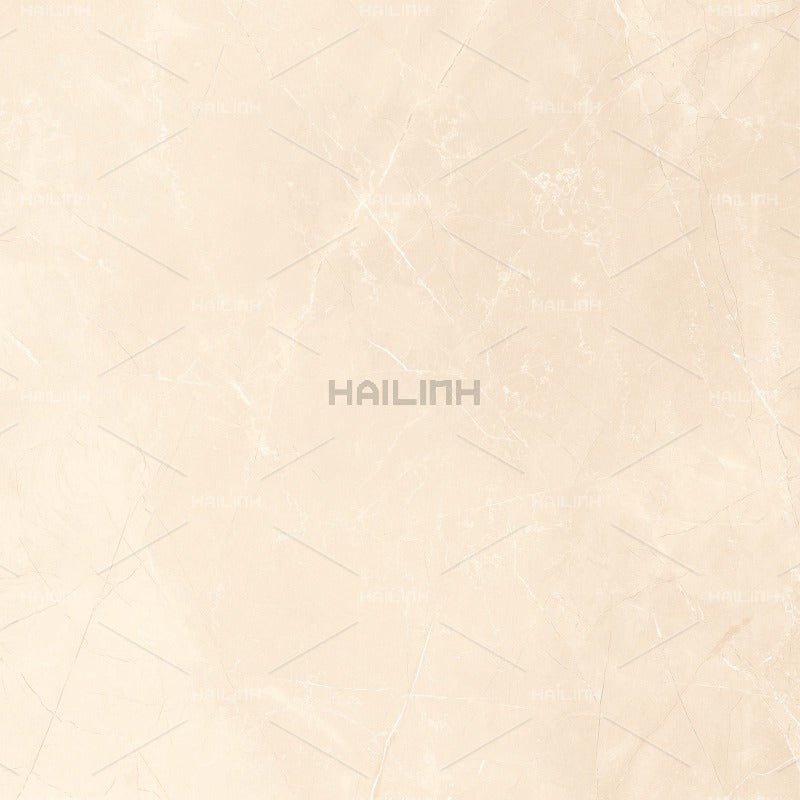 Gạch Ấn Độ CSI88196 - Daisan Store