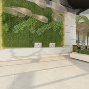 Gạch Ấn Độ HLAD36117 - Daisan Store