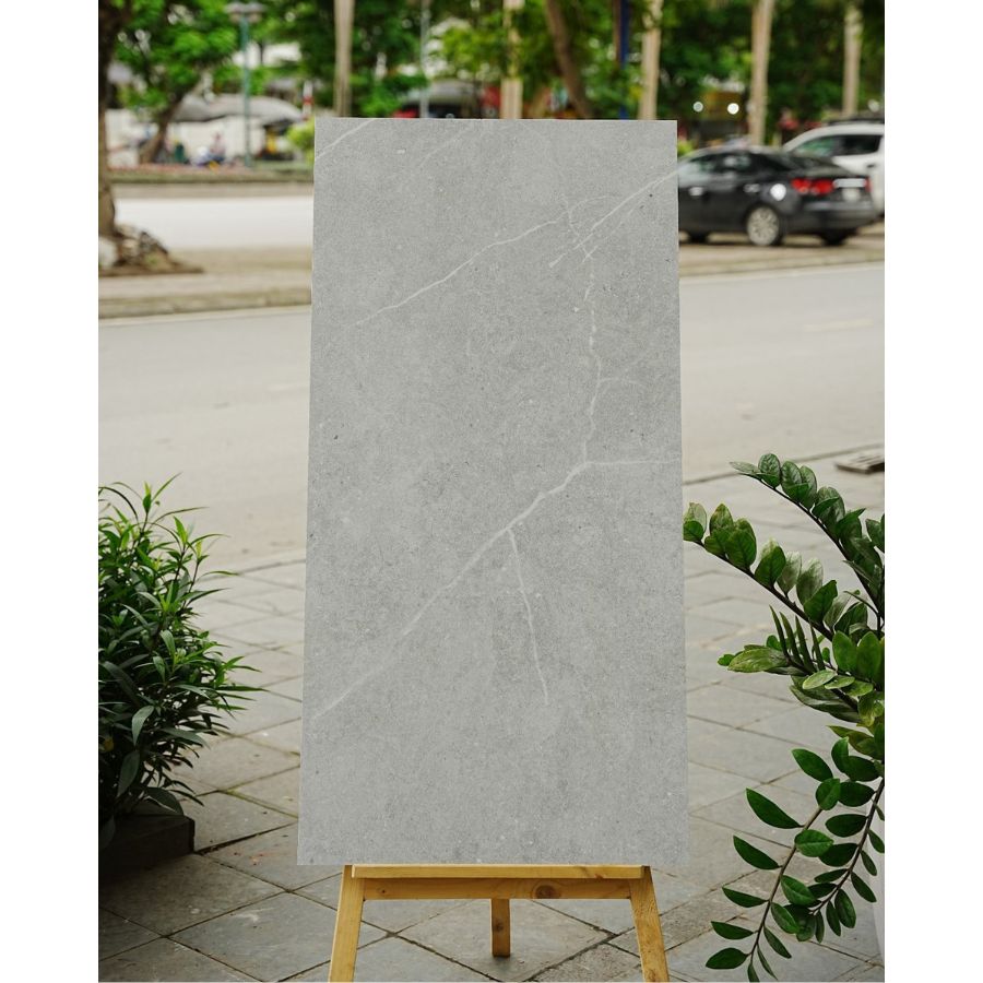 Gạch Ấn Độ KT 600x1200mm Agean Grey - Daisan Store