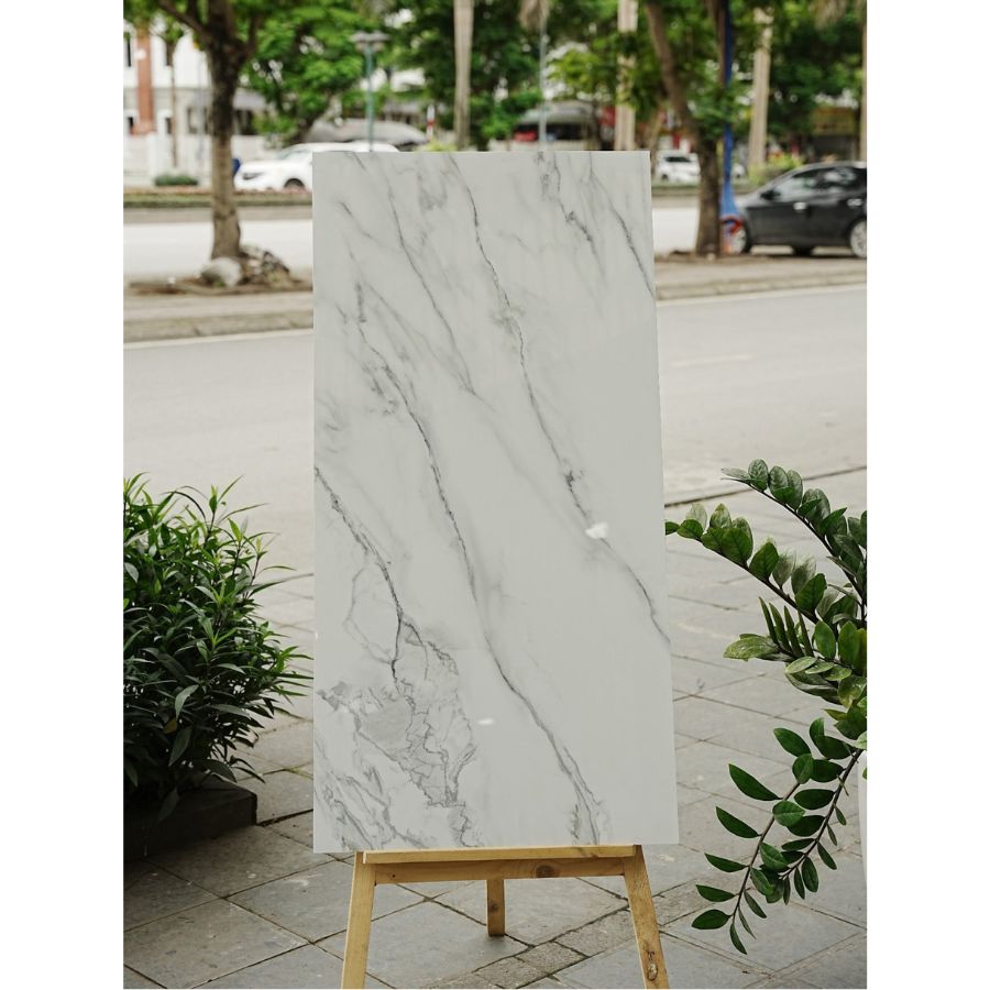Gạch Ấn Độ KT 600x1200mm Carrara Ice - Daisan Store