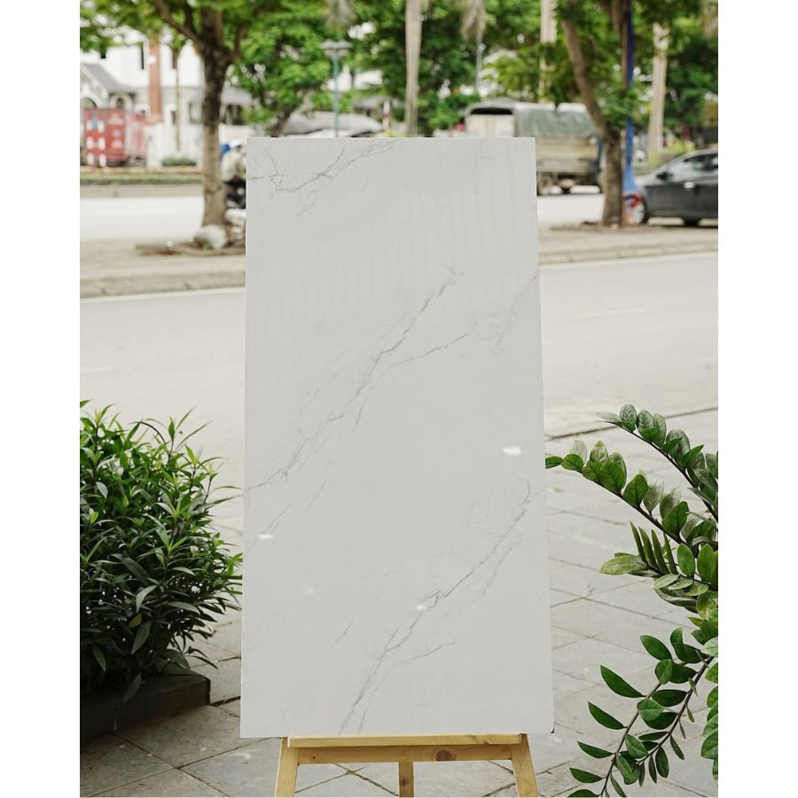 Gạch Ấn Độ KT 600x1200mm HARMONY BIANCO - Daisan Store