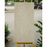 Gạch Ấn Độ KT 600x1200mm HP8823MS - Daisan Store