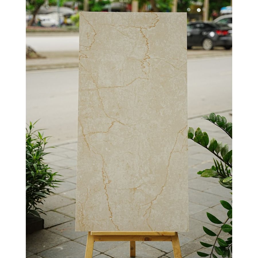 Gạch Ấn Độ KT 600x1200mm HP8823MS - Daisan Store