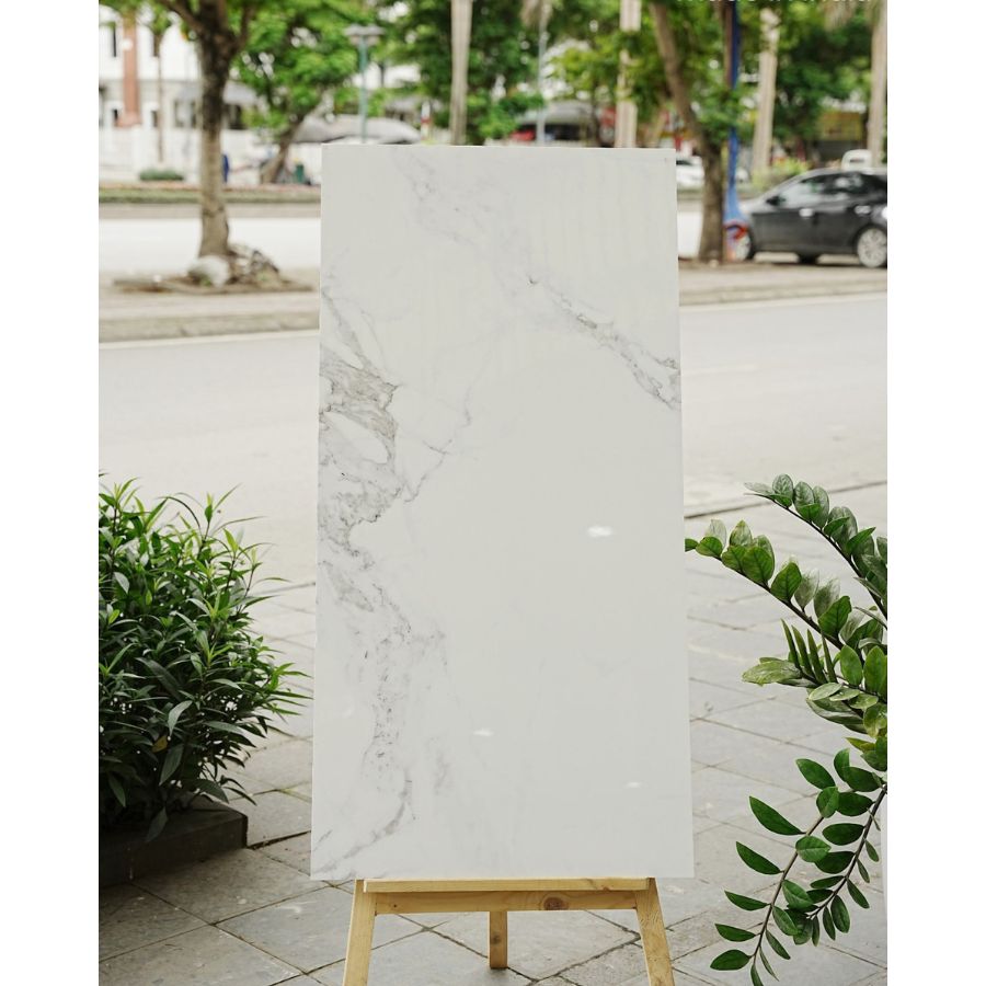 Gạch Ấn Độ KT 600x1200mm Lotus Statuario - Daisan Store