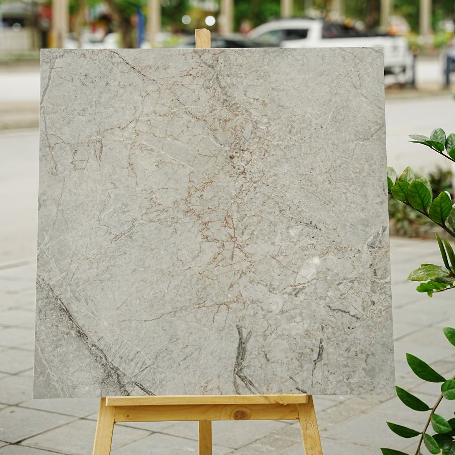 Gạch Ấn Độ KT 800x800mm Saltash grey - Daisan Store